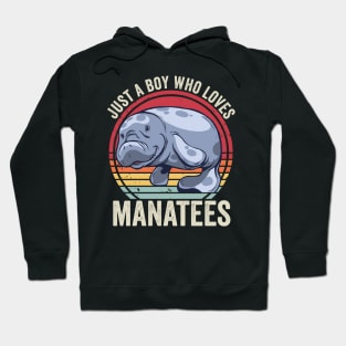 Just A Boy Who Loves Manatees Funny Hoodie